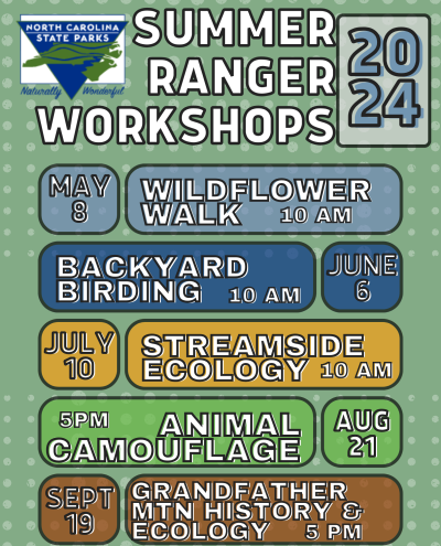 Ranger Workshops 2024 Flyer